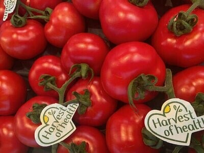 Tomaten "Harvest of Health" - Rispentomaten -derzeit kein Postversand -