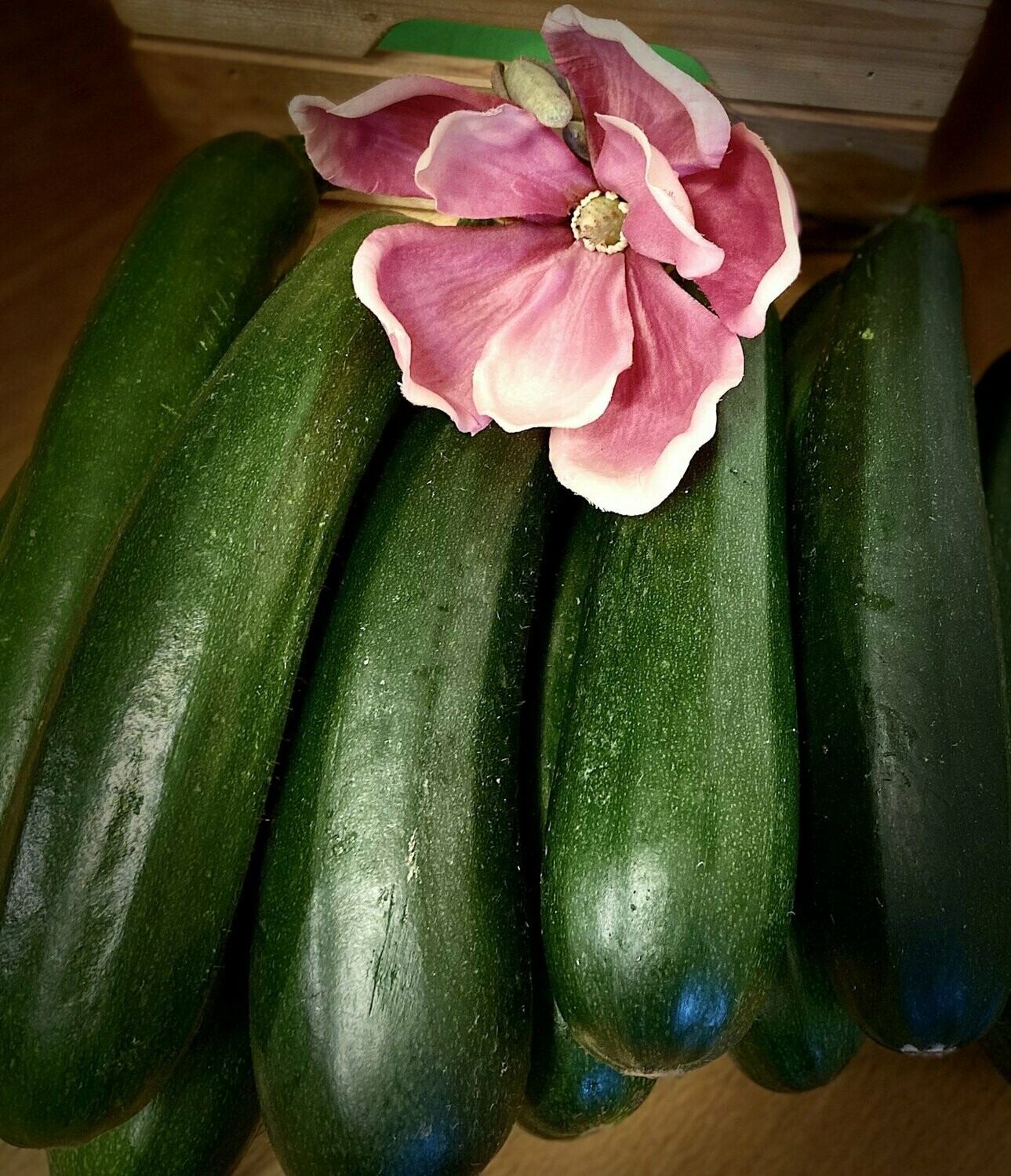 Zucchini -derzeit kein Postversand-