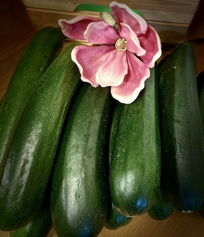 Zucchini -derzeit kein Postversand- Zucchini -derzeit kein Postversand-