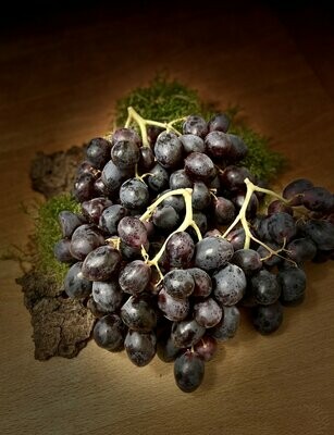 Weintrauben blau - kernlos, süß und lecker -derzeit kein Postversand-