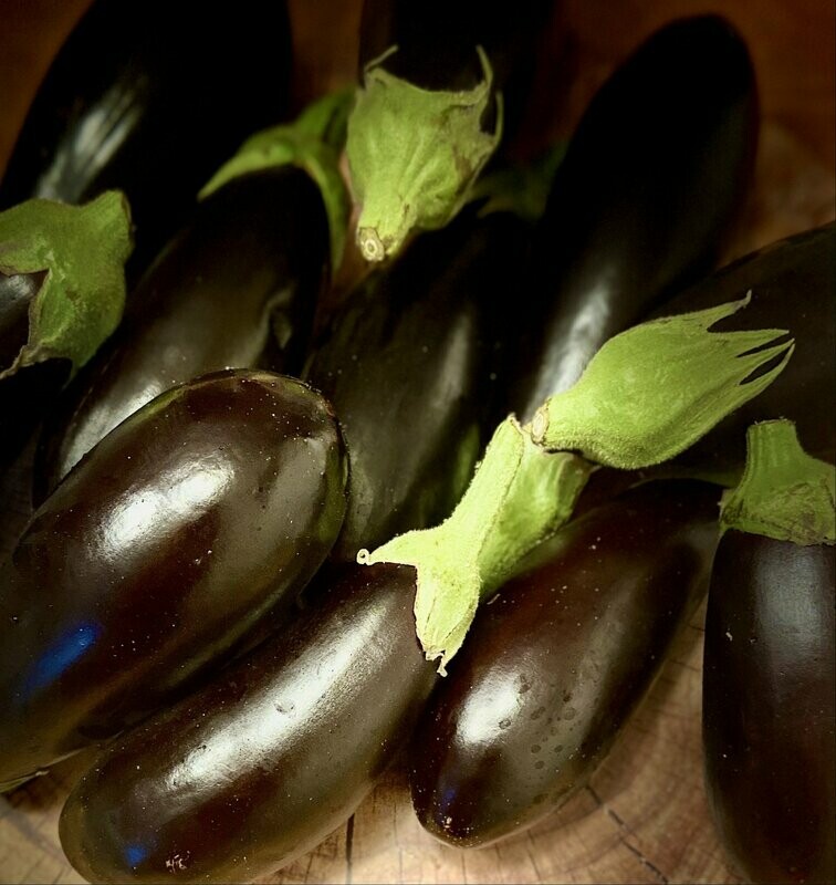 Aubergine - Versand möglich Aubergine - Versand möglich