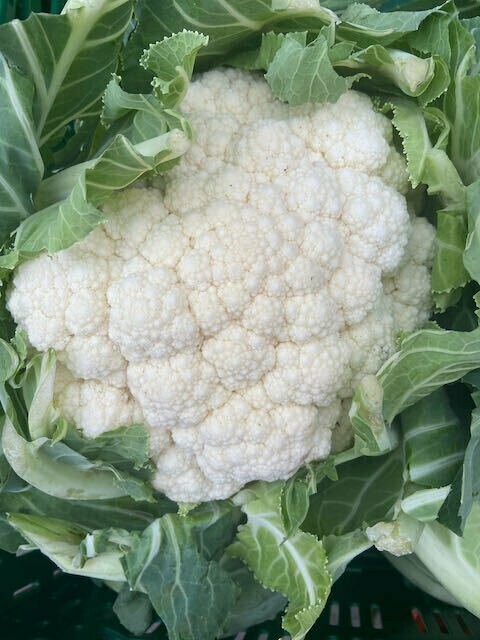 Blumenkohl aus Frankreich- kein Postversand - Blumenkohl aus Frankreich- kein Postversand -