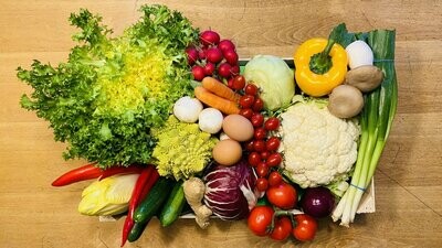Vitamin-Box-Gemüse - Größe S -derzeit kein Postversand-