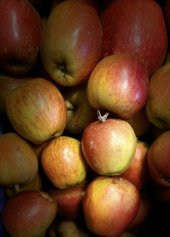 Boskop - Apfel aus dem Alten Land - Versand möglich Boskop - Apfel aus dem Alten Land - Versand möglich