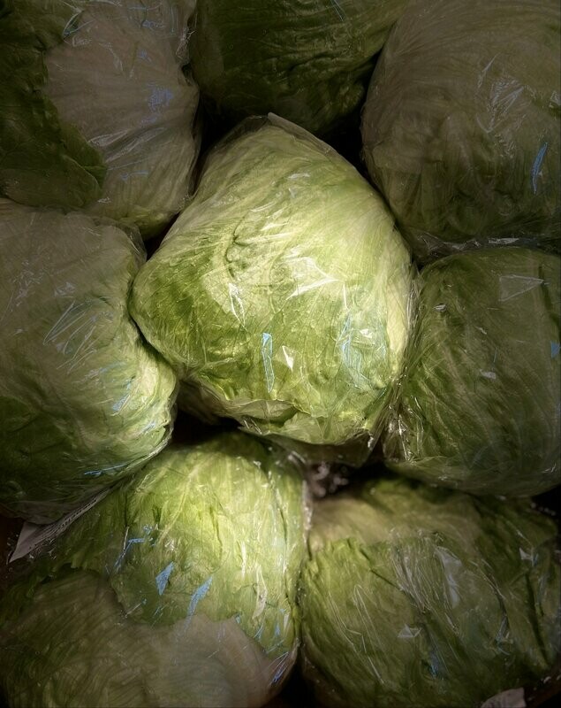 Eisbergsalat aus Deutschland- kein Postversand - Eisbergsalat aus Deutschland- kein Postversand -