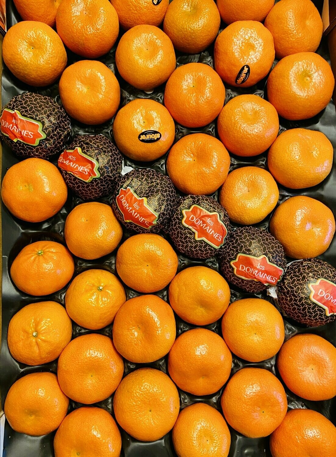 Mandarinen - Jaffa "Orri" - derzeit kein Postversand -