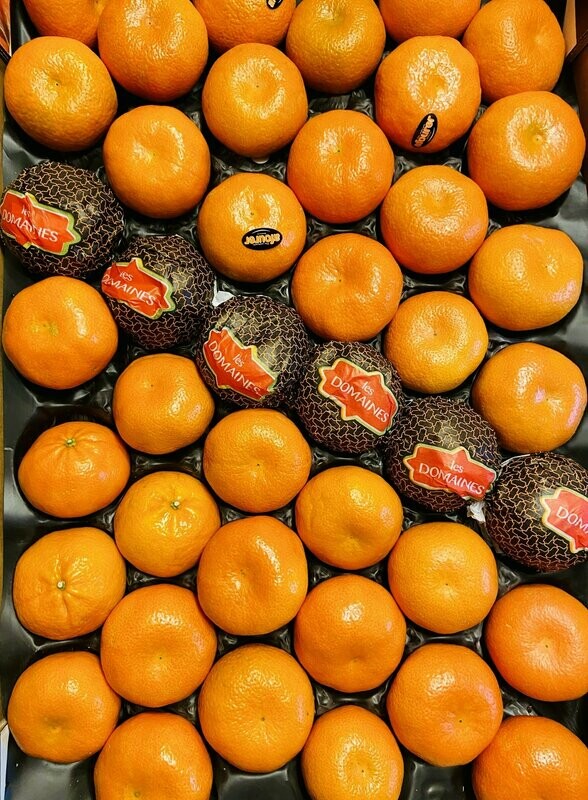 Mandarinen - Jaffa Mandarinen - Jaffa "Orri" - derzeit kein Postversand -