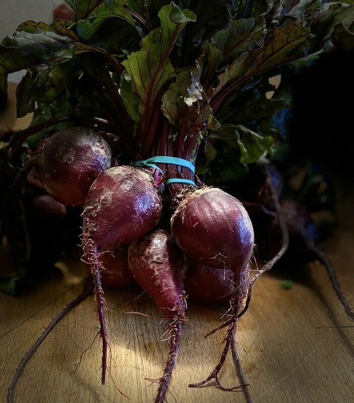 Rote Beete - derzeit kein Postversand - Rote Beete - derzeit kein Postversand -