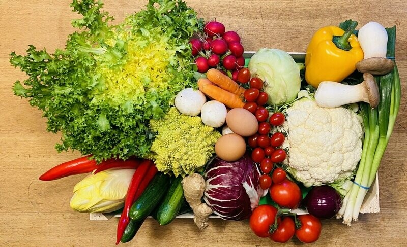 Vitamin-Box-Gemüse - Größe L -derzeit kein Postversand- Vitamin-Box-Gemüse - Größe L -derzeit kein Postversand-