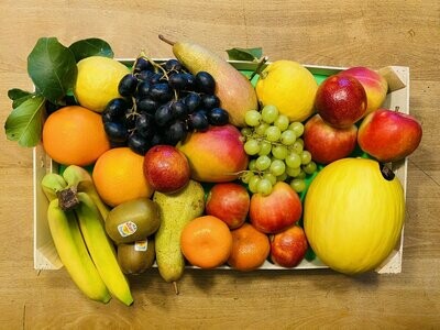 Vitamin-Box-Früchte - Größe M -derzeit kein Postversand-