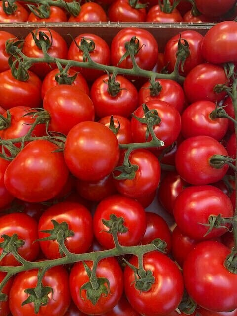 Tomaten Tomaten "Rote Perle" - Cocktail-Rispentomaten -kein Postversand-