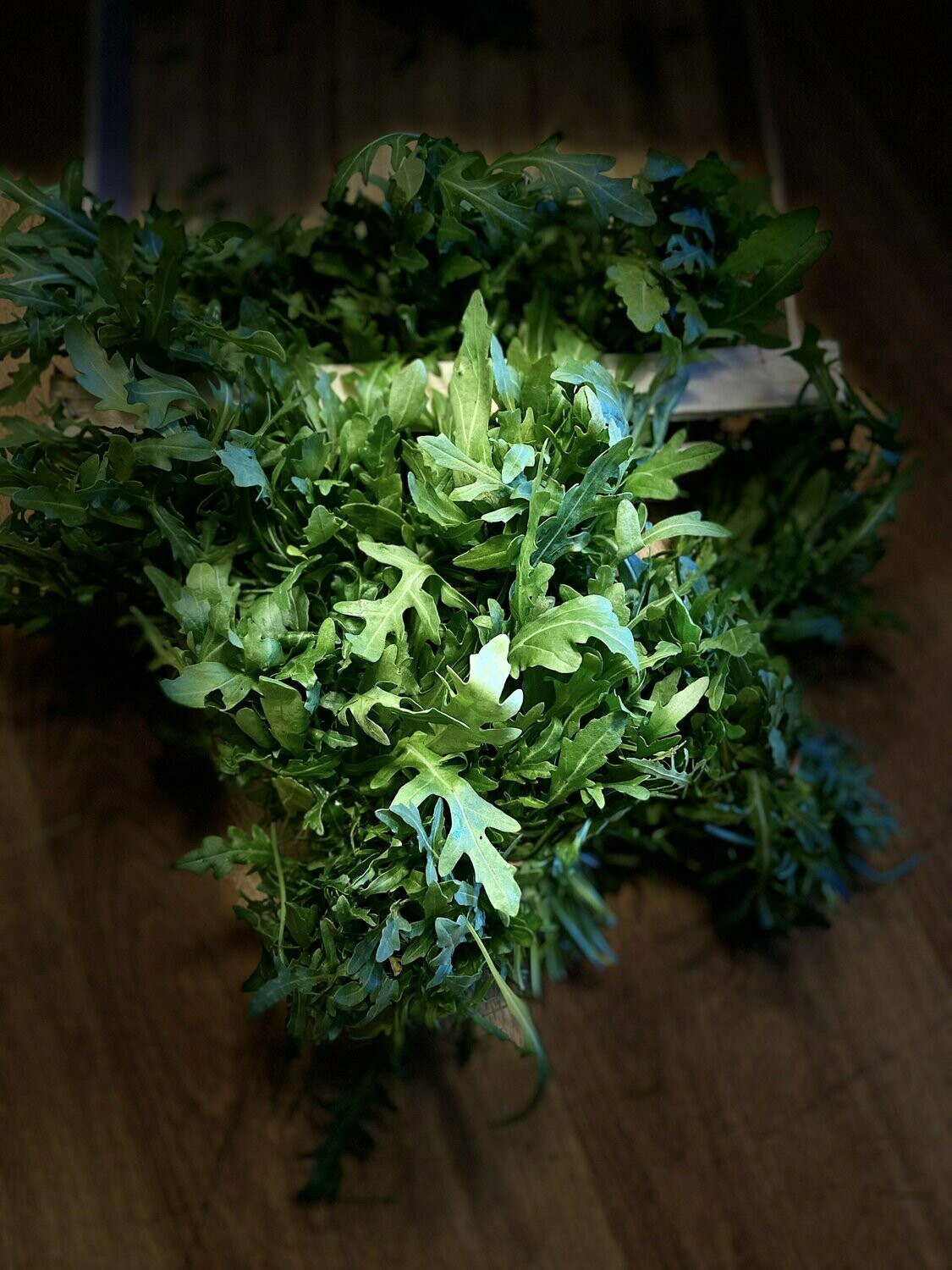 Rucola -derzeit kein Postversand -