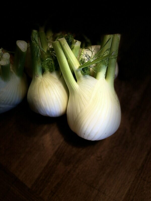 Fenchel - derzeit kein Postversand - Fenchel - derzeit kein Postversand -