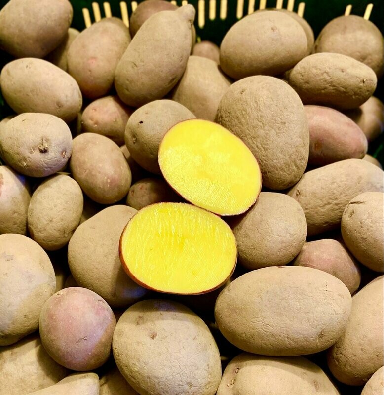 Heide - Kartoffeln Heide - Kartoffeln "Laura" - rotschalig & lagerfähig - Versand möglich -
