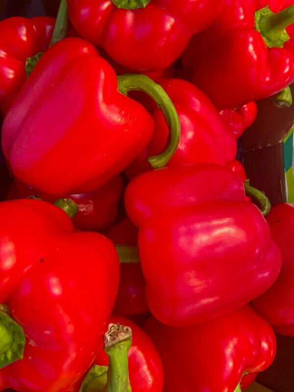 Paprika rot - derzeit kein Postversand - Paprika rot - derzeit kein Postversand -