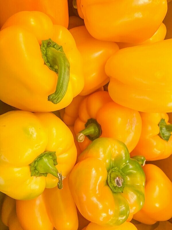 Paprika gelb - derzeit kein Postversand - Paprika gelb - derzeit kein Postversand -