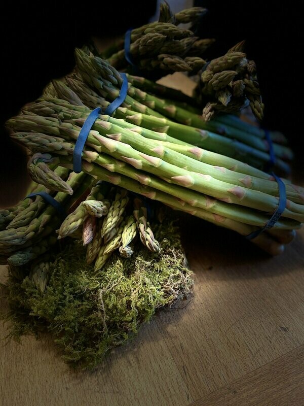 Spargel - grün -derzeit kein Versand - Spargel - grün -derzeit kein Versand -