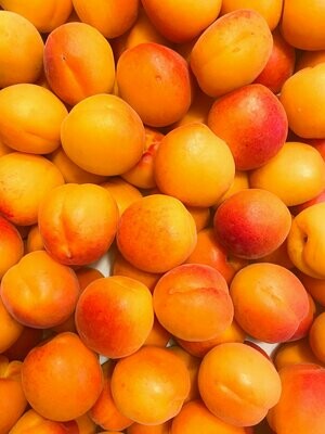 Aprikosen aus Spanien - derzeit kein Postversand