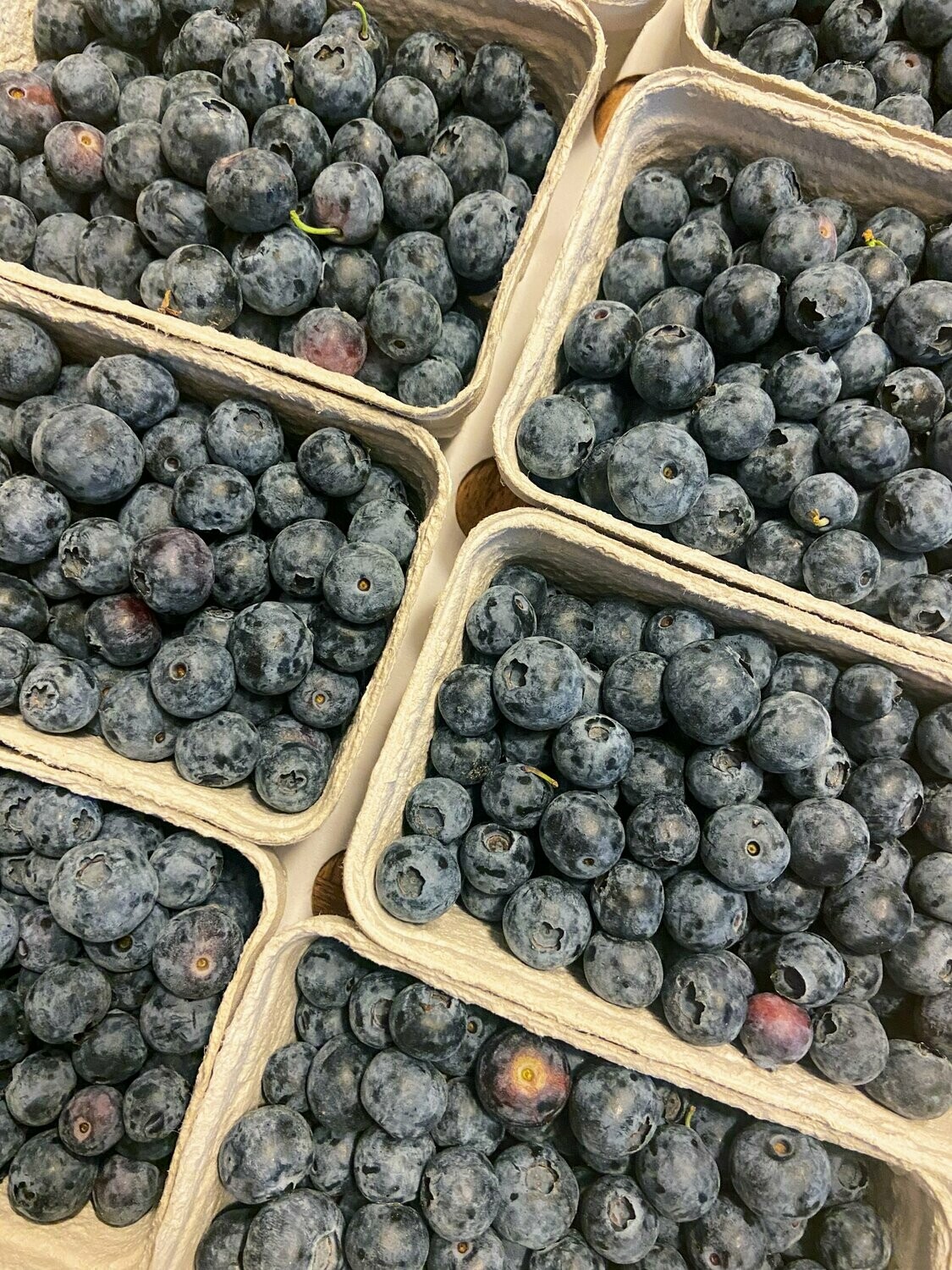 Heidelbeeren aus der Lüneburger Heide - kein Postversand