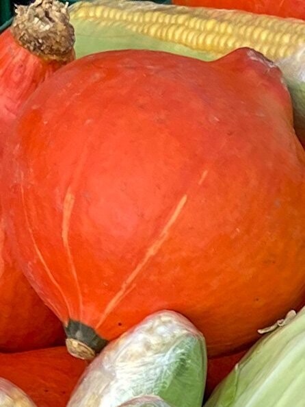 Kürbis - Hokkaido - Gewicht  ca. 1 Kg pro Stück - Versand möglich