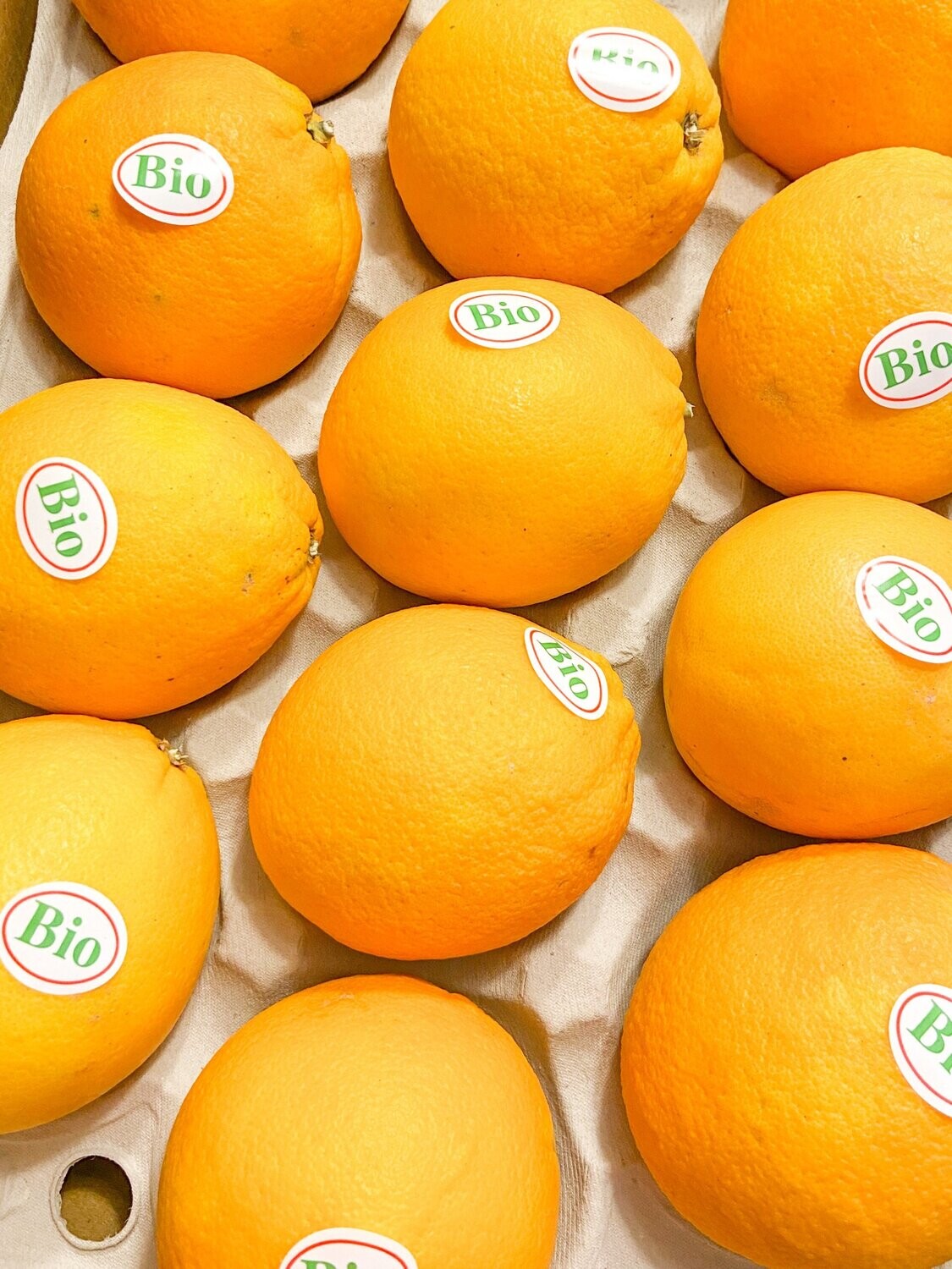 BIO - Orangen - wunderbar süß und fruchtig - derzeit kein Postversand -