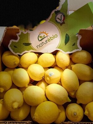 BIO - Zitronen aus Italien - derzeit kein Postversand -