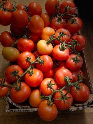 BIO - Rispen-Tomaten - derzeit kein Postversand -