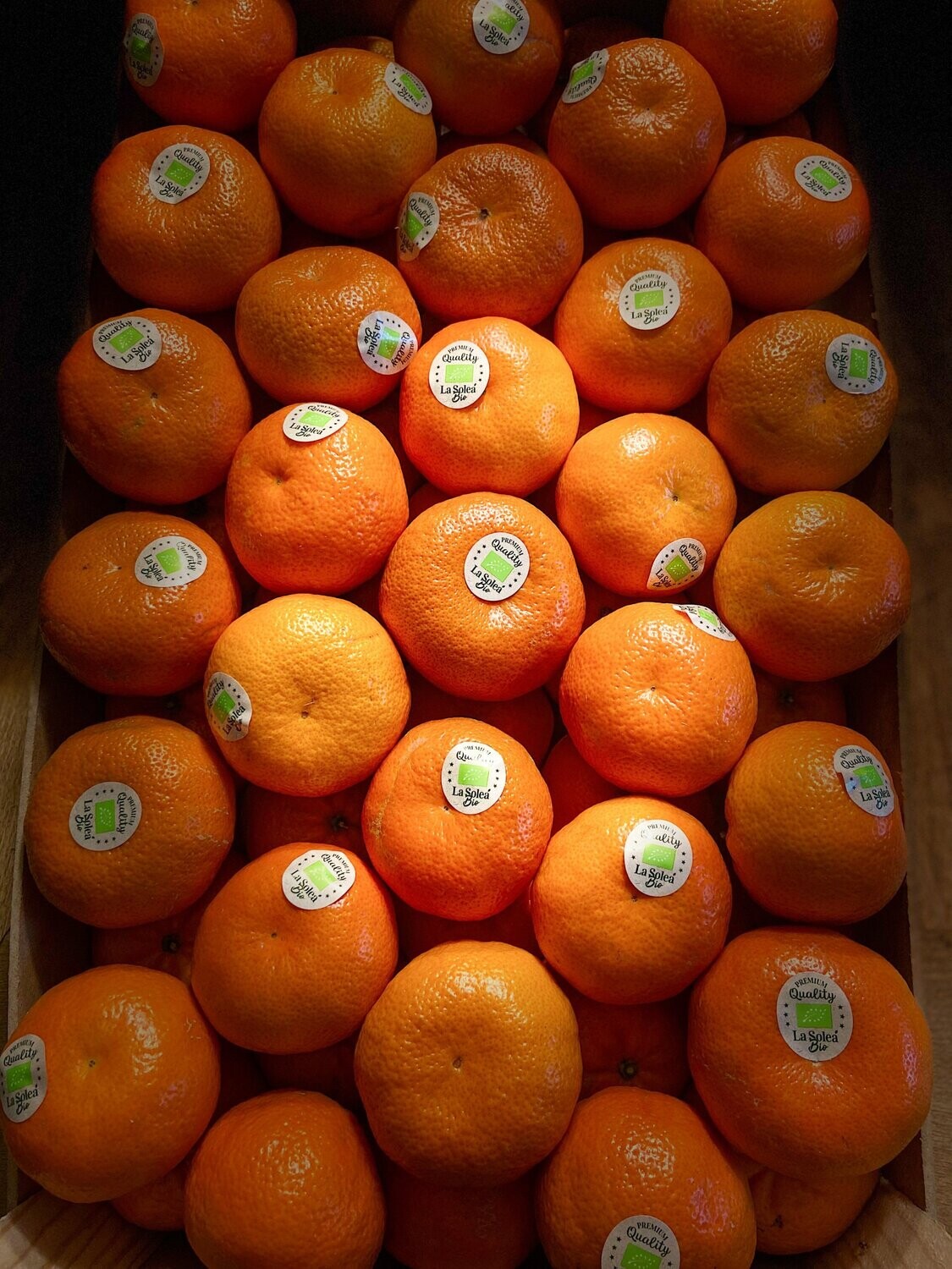 BIO - Clementinen - Versand möglich BIO - Clementinen - Versand möglich