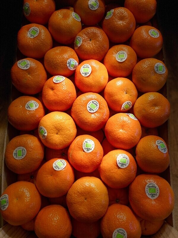 BIO - Clementinen - Versand möglich BIO - Clementinen - Versand möglich