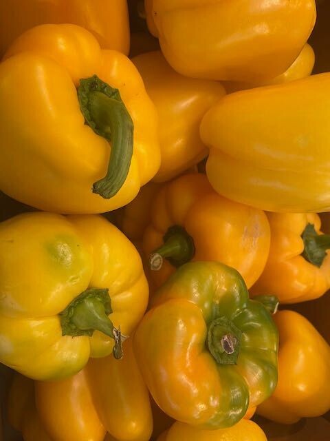 BIO - Paprika gelb - derzeit kein Postversand - BIO - Paprika gelb - derzeit kein Postversand -