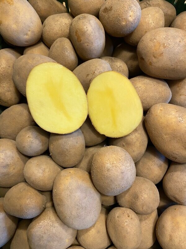 Heide - Kartoffeln - Heide - Kartoffeln - "Linda" im 12,5 Kg - Sack - lagerfähig - Versand bis max. 25 Kg möglich
