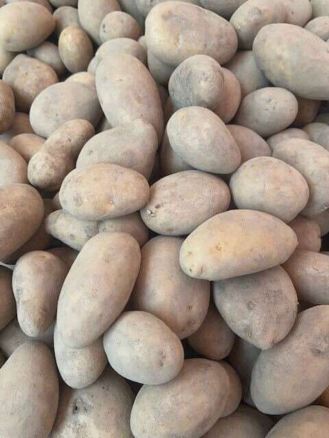 Heide-Kartoffeln - Heide-Kartoffeln - "Annabelle" im 12,5 Kg - Sack - festkochend + lagerfähig - Versand bis max. 25 Kg möglich