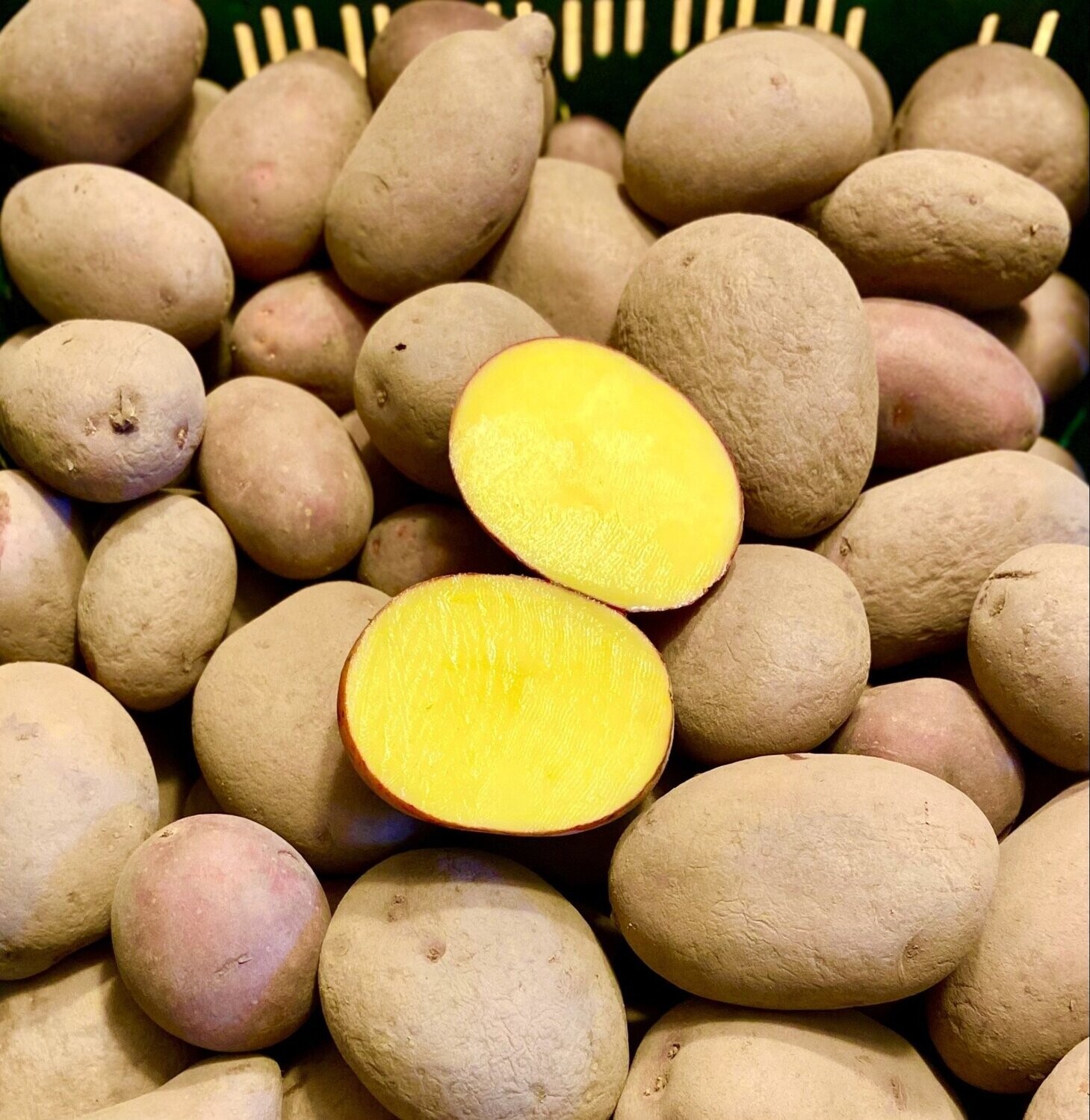 Heide - Kartoffeln Heide - Kartoffeln "Laura" rotschalig + lagerfähig - im 12,5 Kg-Sack - Versand bis max. 25 Kg möglich