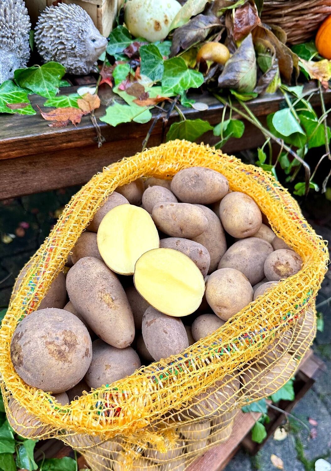 Heide -Kartoffeln - "Belana" im 12,5 Kg - Sack - festkochend + lagerfähig - Versand bis max 25 Kg möglich
