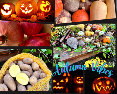 Autum Vibes - Der Herbst ist da und lockt mit herbstlichem Zauber
