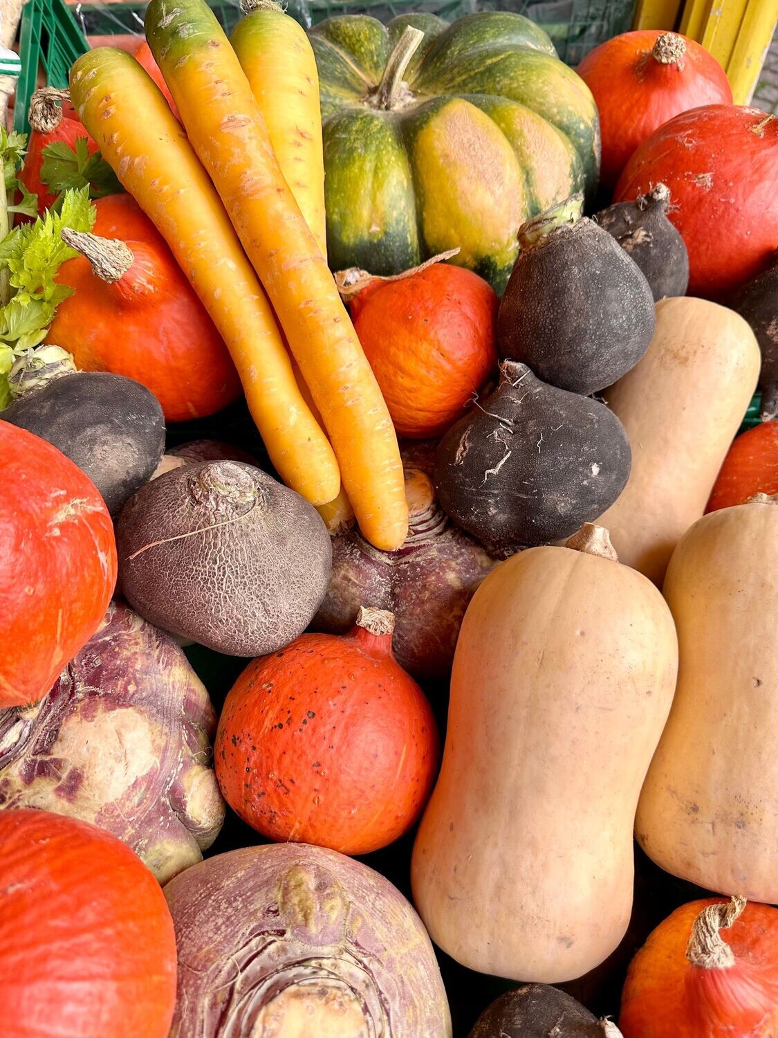 Kürbisse  z.B. Hokkaido oder Butternut - mit Rezeptvorschlag