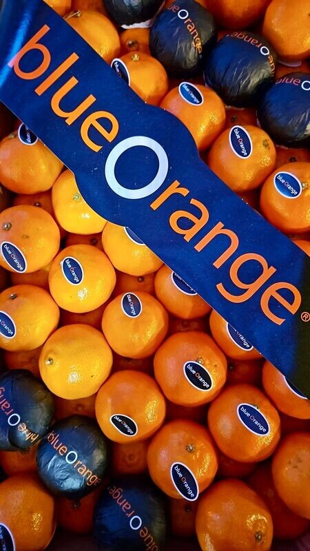 Clementinen aus Spanien - Blue Orange - süß & kernlos - Versand möglich Clementinen aus Spanien - Blue Orange - süß & kernlos - Versand möglich