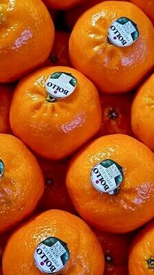 Clementinen aus Spanien - Bollo - süß und kernlos - Versand möglich