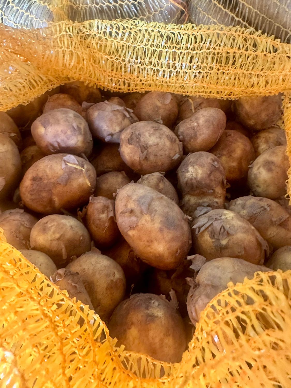 Leyla - Frühkartoffel -derzeit kein Postversand
