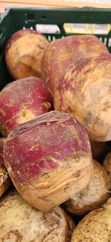 Steckrüben aus Niedersachsen - Versand möglich -  Gewicht pro Stück ca. 1 Kg