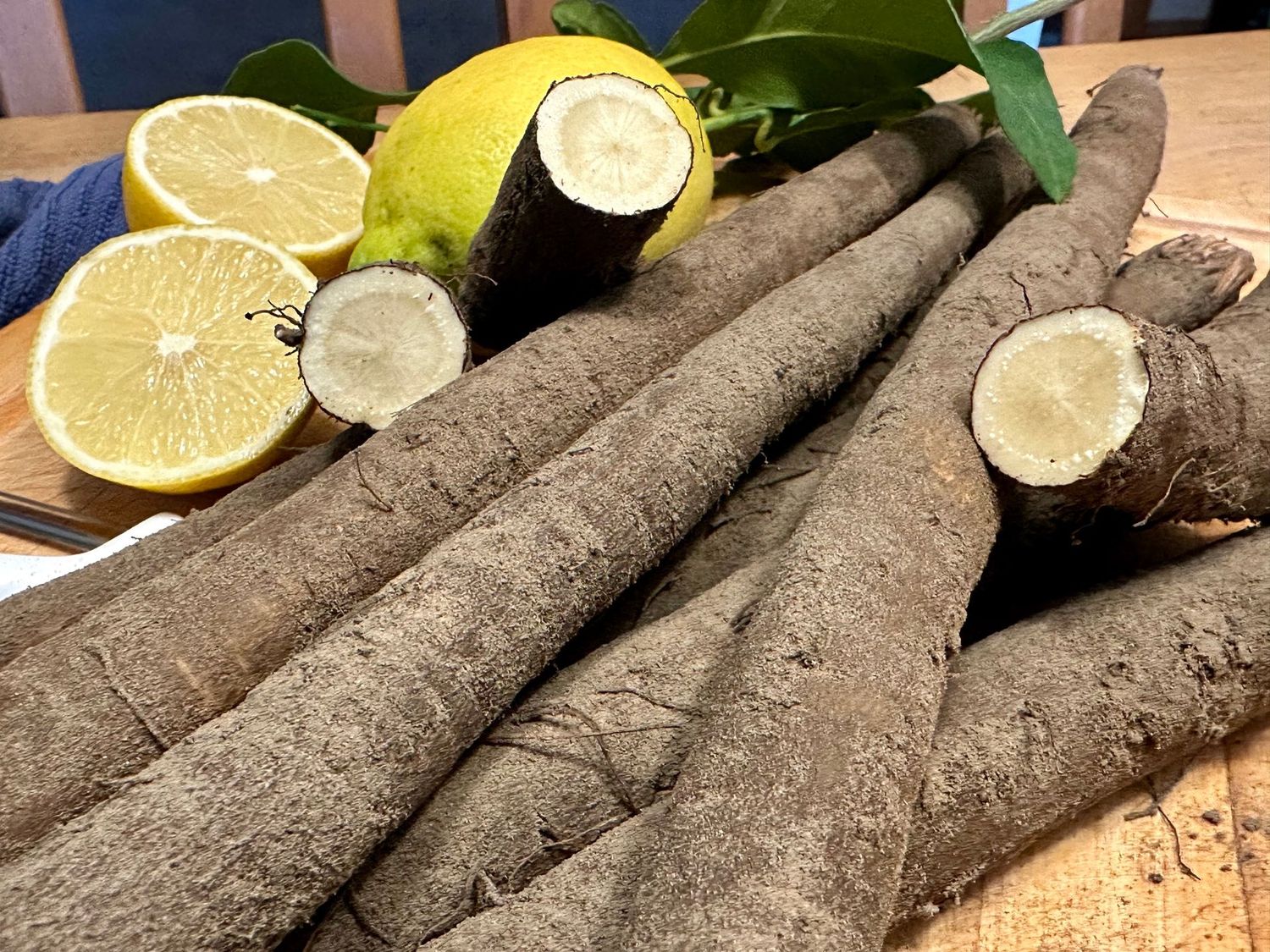 Schwarzwurzeln aus Deutschland - Versand möglich Schwarzwurzeln aus Deutschland - Versand möglich