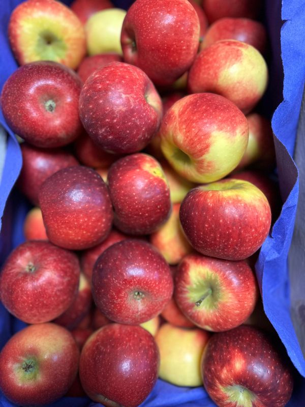 Bloss - Edelobst aus Deutschland - Versand möglich Bloss - Edelobst aus Deutschland - Versand möglich