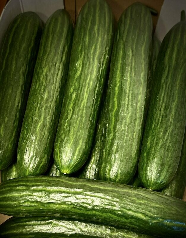 Salatgurken aus Deutschland - kein Postversand - Salatgurken aus Deutschland - kein Postversand -