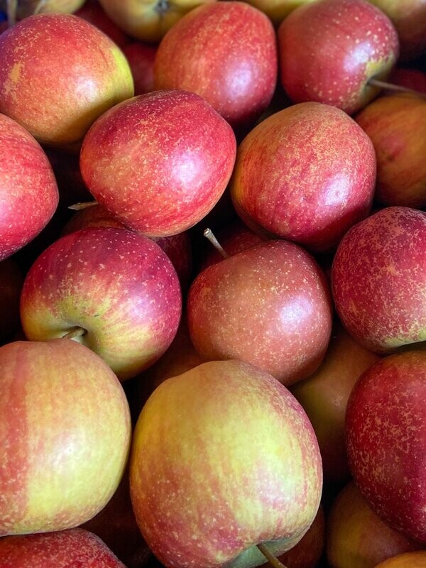 Braeburn - Versand möglich -