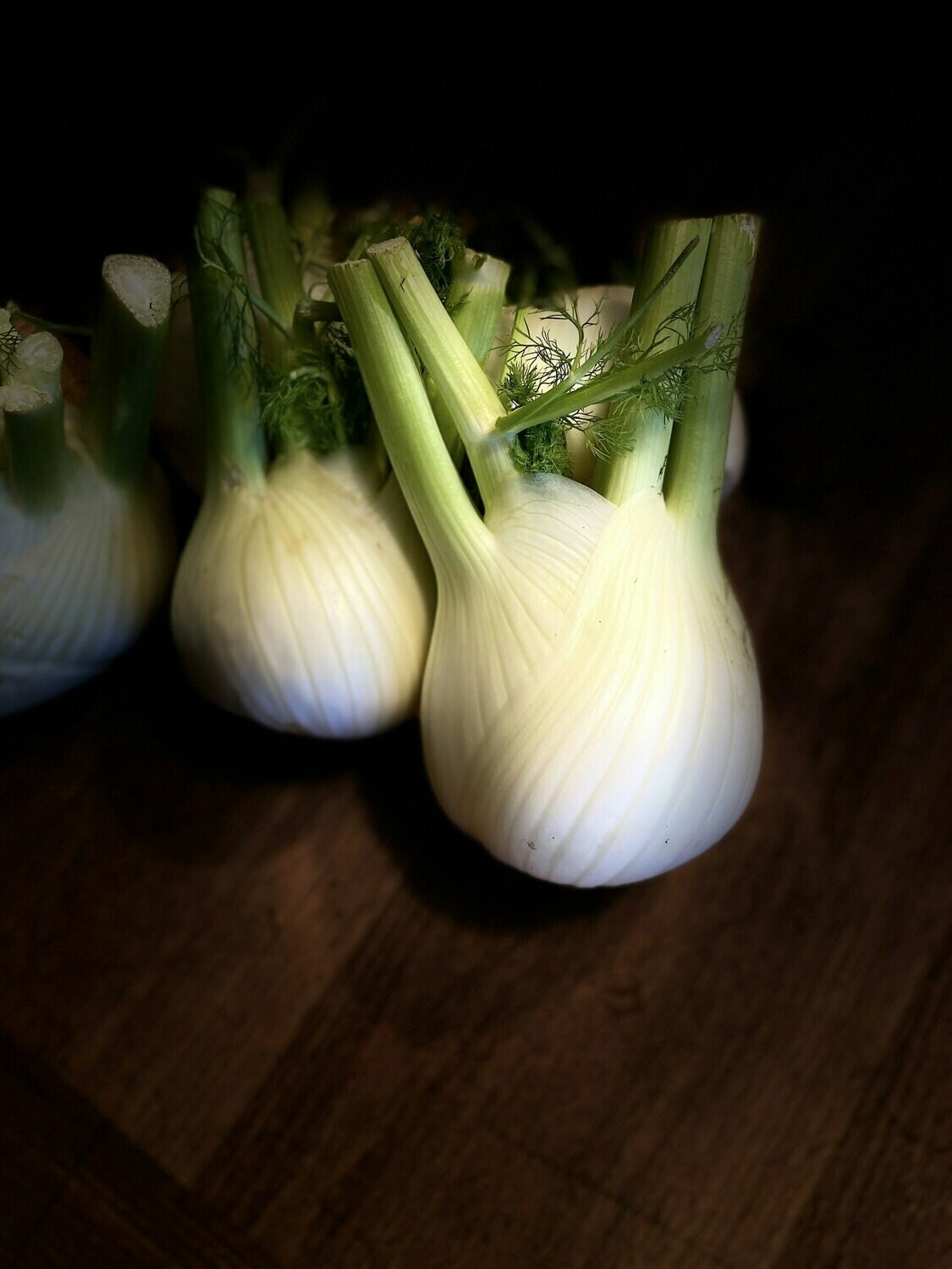 Fenchel - derzeit kein Postversand -