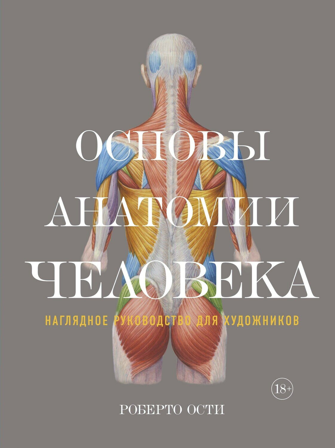 Основы анатомии человека. Наглядное руководство для художников / Ости Р.