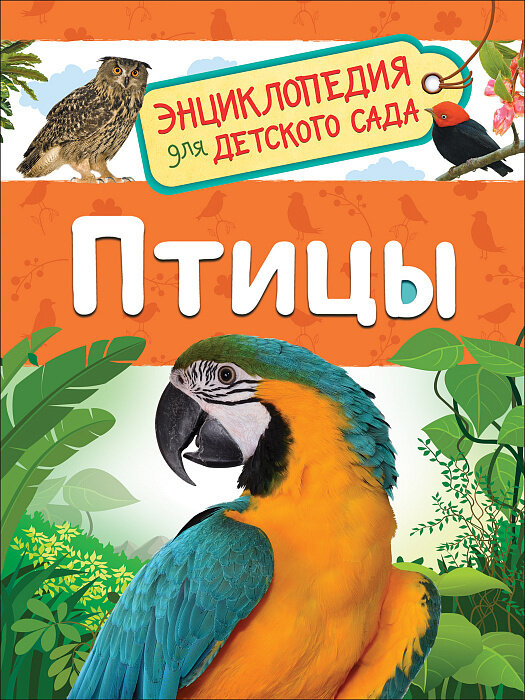 Птицы (Энциклопедия для детского сада) / Гальцева С. Н.