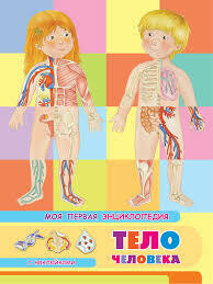 Книжка с наклейками. Моя первая энциклопедия. Тело человека