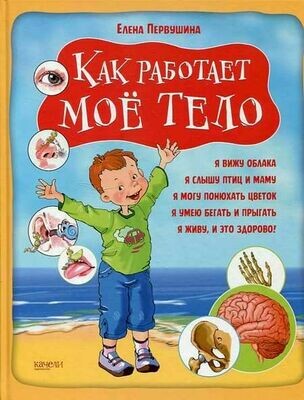 Как работает мое тело / Первушина Елена Владимировна
