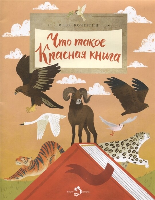 Что такое красная книга / Кочергин И. Н.
